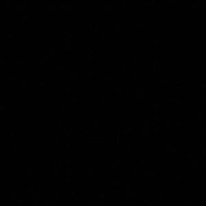 Meet your Posher, Mia